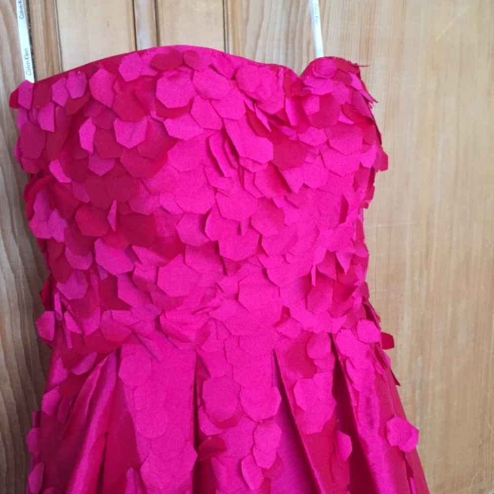 Stunning Fuchsia CK Petal Appliqué Dress